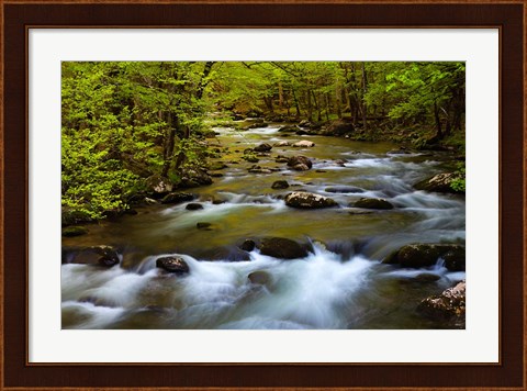 Framed Spring Reflections On The Little River Print