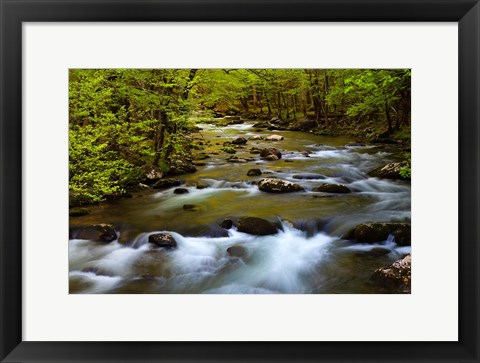 Framed Spring Reflections On The Little River Print