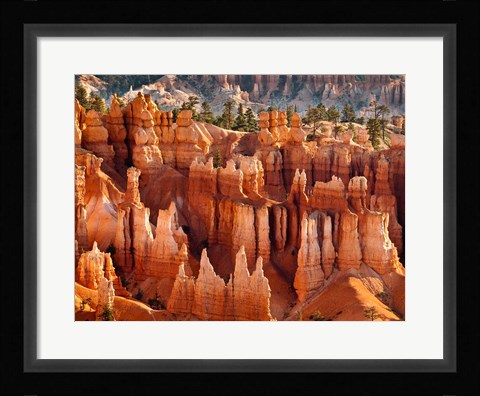 Framed Morning Light On The Hoodoos Of Bryce Canyon National Park Print