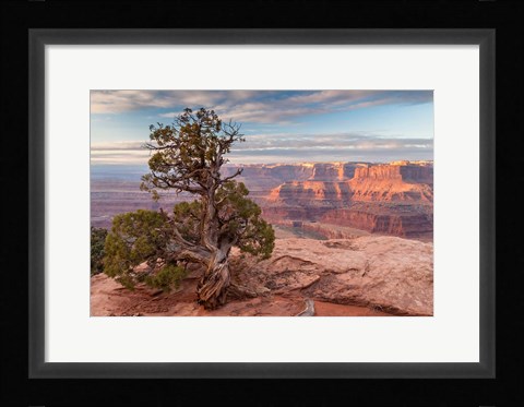 Framed Sunrise At Dead Horse Point State Park, Utah Print