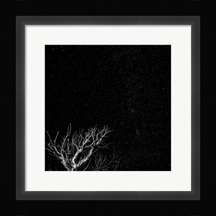 Framed Dead Tree And Night Sky At The Capitol Reef National Park, Utah Print