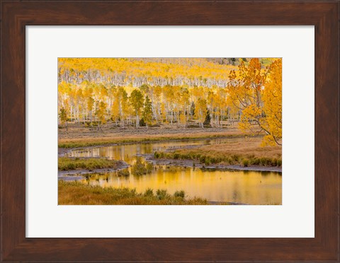 Framed Fishlake National Forest Landscape, Utah Print