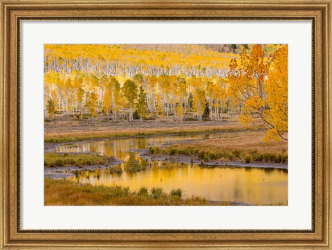 Framed Fishlake National Forest Landscape, Utah Print