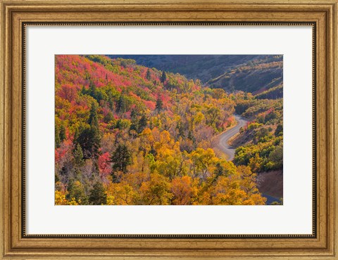 Framed Landscape With Nebo Loop Road, Uinta National Forest, Utah Print