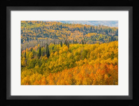 Framed Manti-La Sal National Forest In Autumn, Utah Print