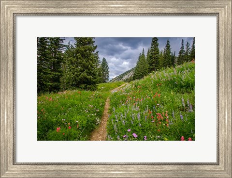 Framed Wildflowers In The Albion Basin, Utah Print