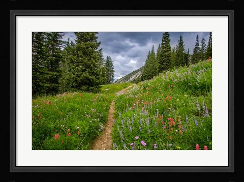 Framed Wildflowers In The Albion Basin, Utah Print