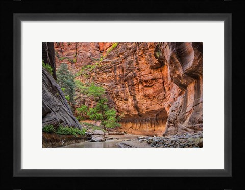 Framed Zion Narrows, Utah Print