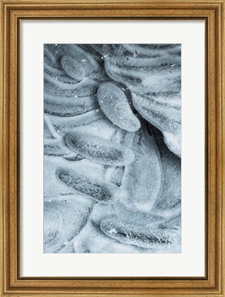 Framed Frozen Ice Designs Print