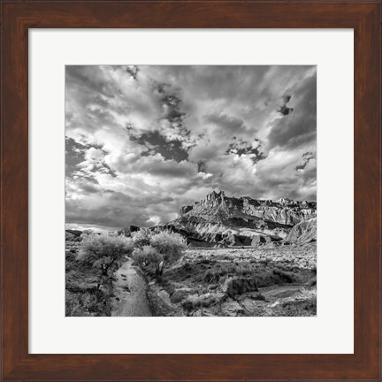 Framed Sulphur Creek, Capitol Reef National Park, Utah (BW) Print