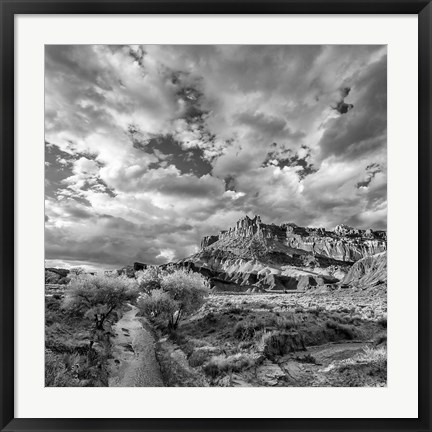 Framed Sulphur Creek, Capitol Reef National Park, Utah (BW) Print