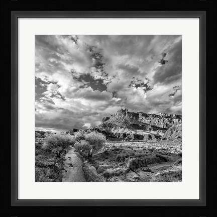 Framed Sulphur Creek, Capitol Reef National Park, Utah (BW) Print