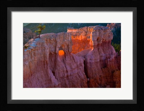 Framed First Light On The Hoodoos At Sunrise Point, Bryce Canyon National Park Print