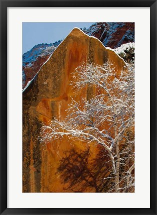 Framed Snow Covered Tree In Front Of Red Rock Boulder, Utah Print