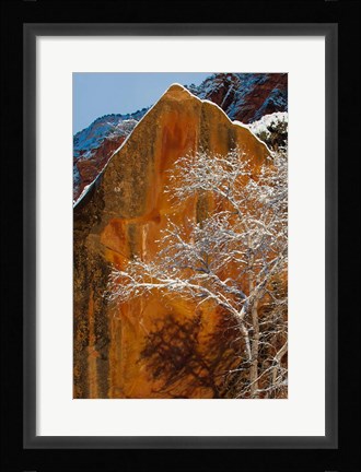 Framed Snow Covered Tree In Front Of Red Rock Boulder, Utah Print