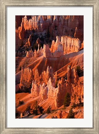 Framed Sunrise Point Hoodoos In Bryce Canyon National Park, Utah Print