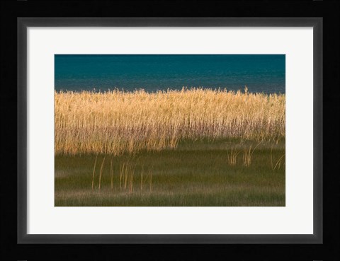 Framed Grasses Blowing In The Breeze Along The Shore Of Bear Lake, Utah Print