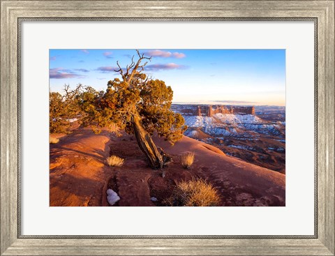Framed Overlook Vista At Canyonlands National Park, Utah Print