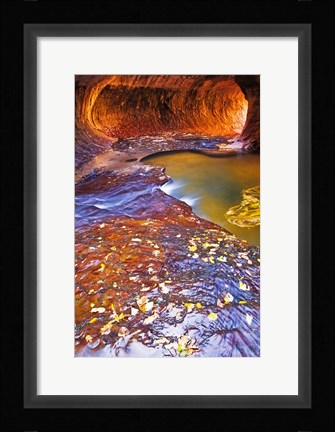 Framed Subway Along North Creek With Fallen Leaves, Utah Print