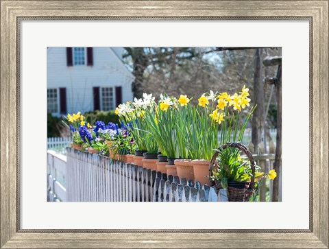 Framed Garden At Colonial Williamsburg, Virginia Print