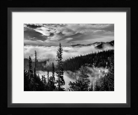 Framed Olympic National Park, Washington (BW) Print
