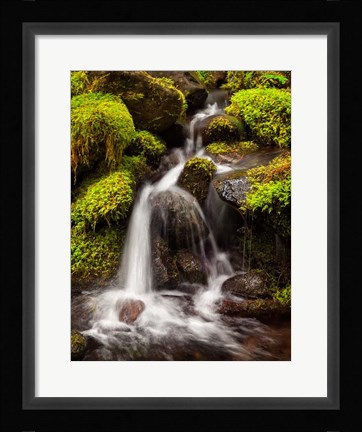 Framed Creek In Sol Duc Valley, Washington Print