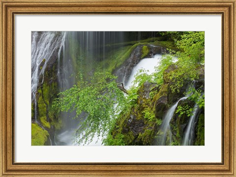 Framed Spring Scene At Panther Creek Waterfall, Washington State Print