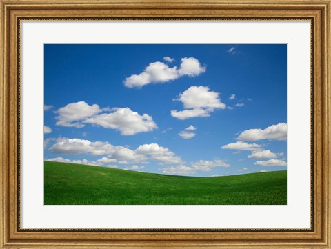 Framed Green Wheat Field Landscape, Washington State Print