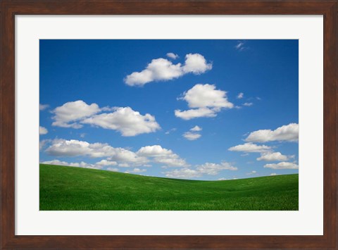 Framed Green Wheat Field Landscape, Washington State Print