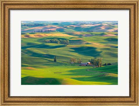 Framed Farmland Viewed From Steptoe Butte, Washington State Print