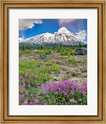 Framed Mount Saint Helens Landscape, Washington State Print