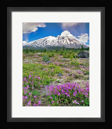 Framed Mount Saint Helens Landscape, Washington State Print