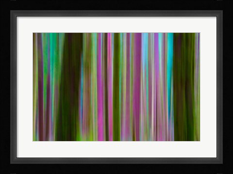 Framed Abstract Of Hoh Rain Forest At Dusk Print