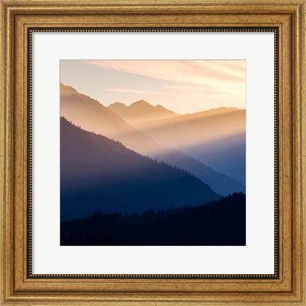 Framed Sunset In The Olympic National Forest Print