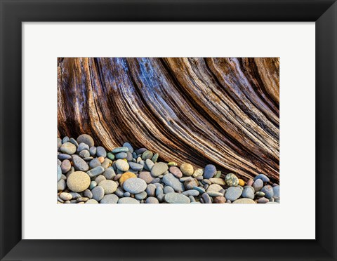 Framed Beach Rocks And Driftwood Print