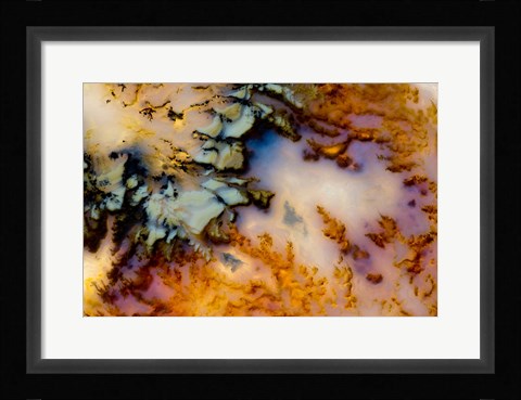 Framed Graveyard Point Plume Print