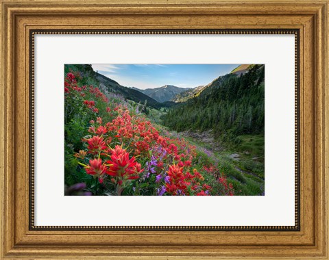 Framed Wildflowers Above Badger Valley In Olympic Nationl Park Print