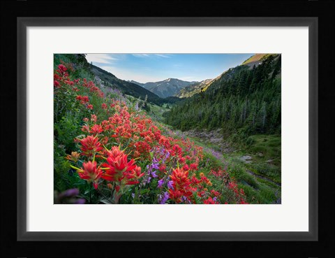 Framed Wildflowers Above Badger Valley In Olympic Nationl Park Print
