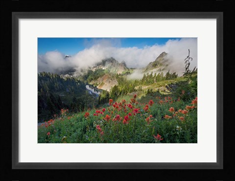 Framed Indian Paintbrush Landscape Near The Tatoosh Range Print