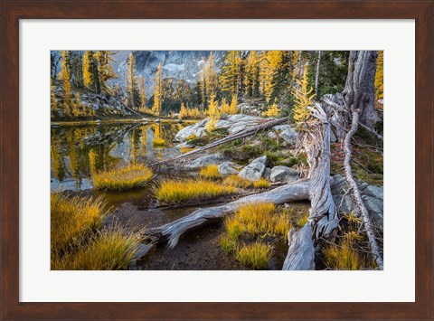 Framed Horseshoe Lake Landscape In The Alpine Lakes Wilderness Print