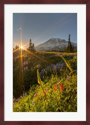Framed Sunset At Mazama Ridge, Washington Print