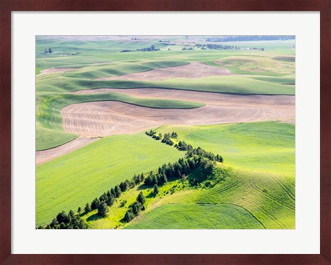 Framed Aerial Shot In The Palouse Region Of Eastern Washington Print