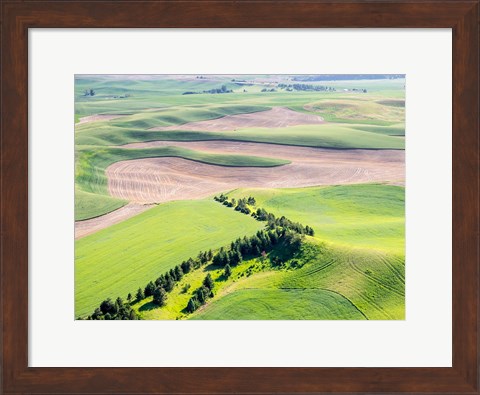 Framed Aerial Shot In The Palouse Region Of Eastern Washington Print