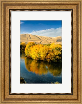 Framed Autumn Color Along The Yakima River Print