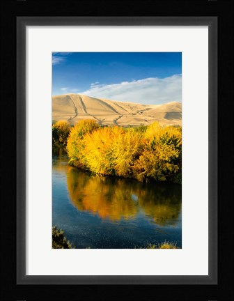 Framed Autumn Color Along The Yakima River Print