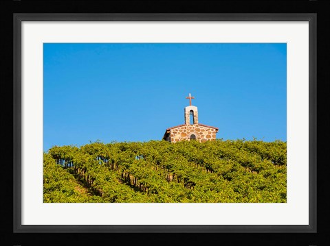 Framed Malbec Grapes In A Vineyard, Washington Print