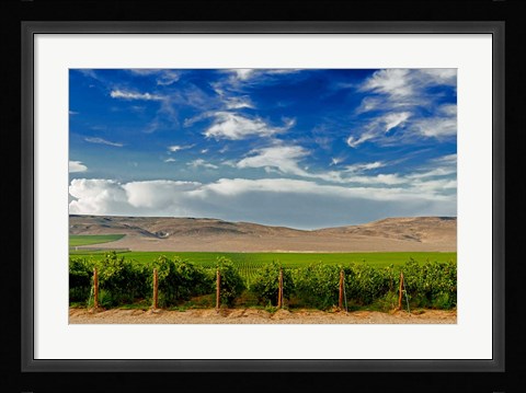 Framed Mattawa Vineyard On The Wahluke Slope Print