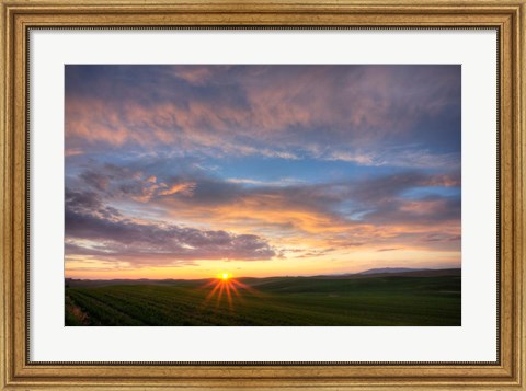 Framed Sunset Cast On Rolling Hills Of Green, Washington State Print