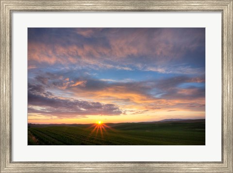 Framed Sunset Cast On Rolling Hills Of Green, Washington State Print