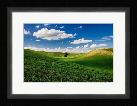 Framed Rolling Wheat Fields With A Lone Tree Print